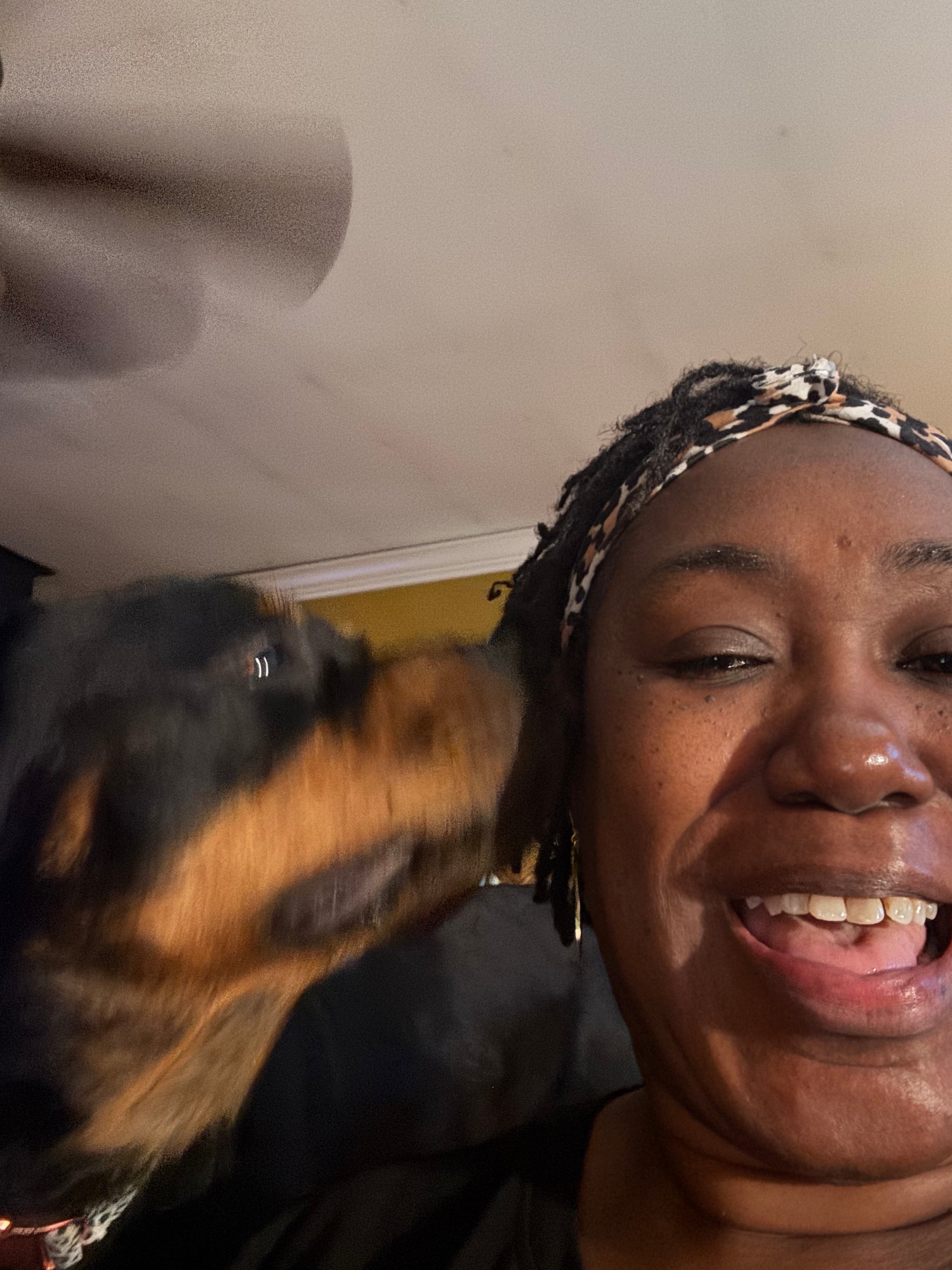 Why Choose Fresh Dog Food? | Pawradise Pack