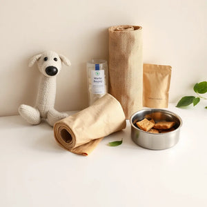 Sustainable Pet Products: What to Look For and Why