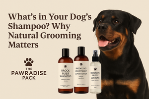 Natural Dog Shampoo: Why Grooming Matters | Pawradise