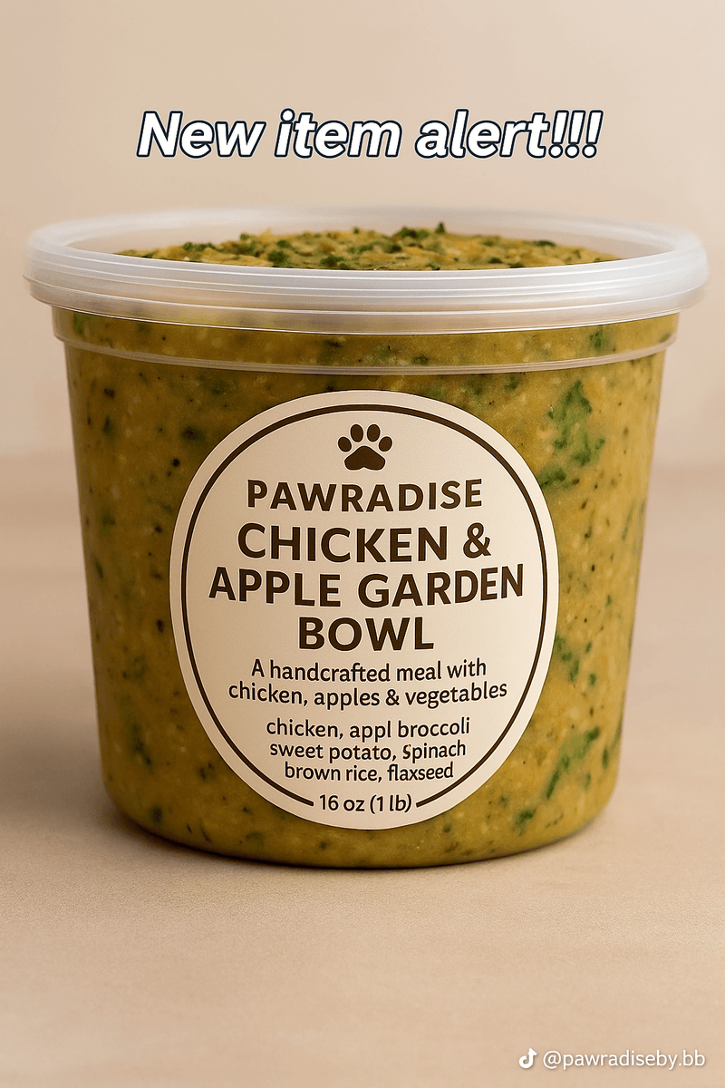 Pawradiise Fresh Chicken and Apple Garden Bowl dog food with real chicken, apples, vegetables, and brown rice in a 16 oz container.