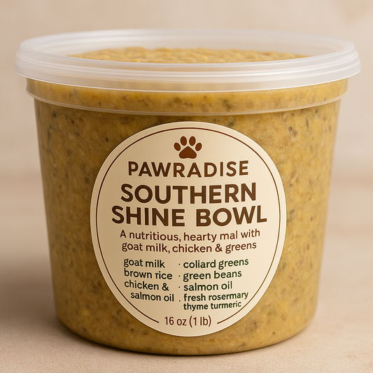 🐾 Pawradise Southern Shine Bowl