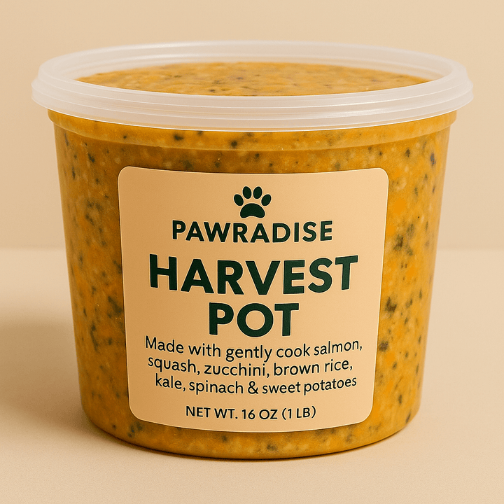 Pawradise Harvest Pot dog food featuring salmon, squash, and other superfoods in a takeout container.