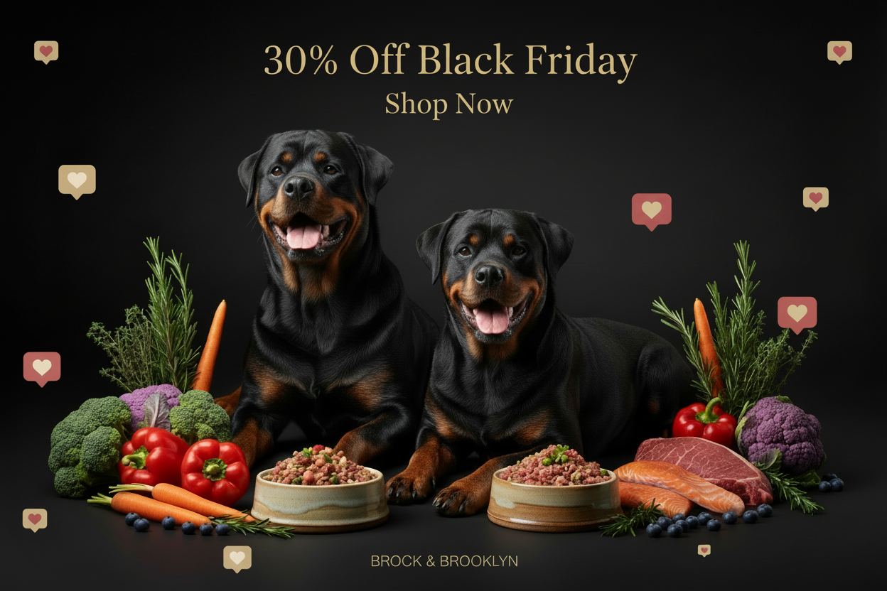 make the header bigger and all caps