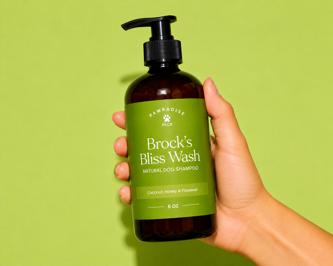The Brock 'n Brooklyn Duo – Natural Dog Shampoo & Conditioner