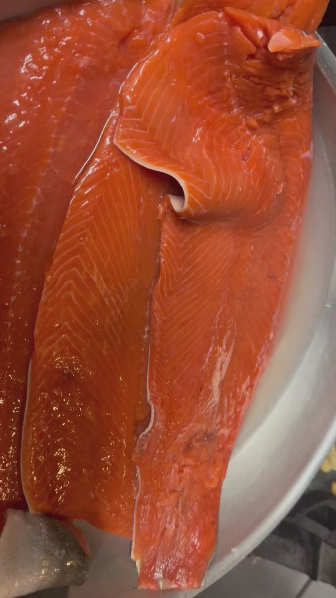Fresh Salmon and Vegetable Dog Food – Harvest Pot Harvest Pot